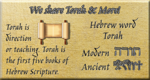 TorahMore